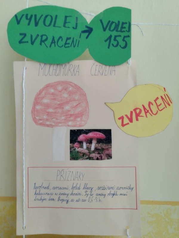 Pozor na&nbsp;otravu houbami