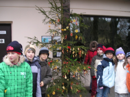 3.A v&nbsp;předvánoční ZOO