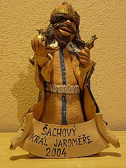 Šachový král Jaroměře 2007