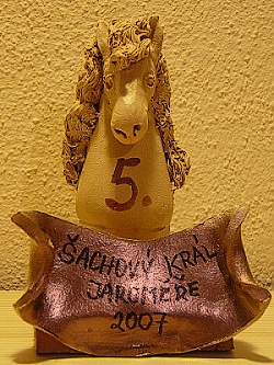 Šachový král Jaroměře 2007