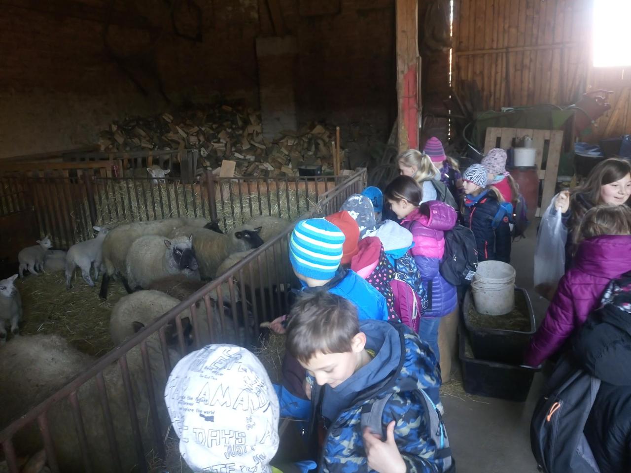 Jak jsme vítali jaro ve&nbsp;3.B