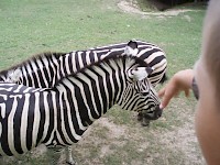 Nový školní rok jsme zahájili v ZOO