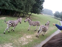 Nový školní rok jsme zahájili v ZOO