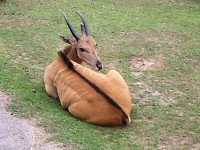 Nový školní rok jsme zahájili v ZOO