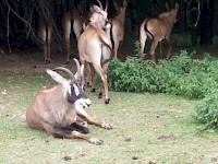 Nový školní rok jsme zahájili v ZOO