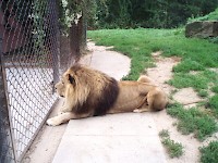 Nový školní rok jsme zahájili v ZOO