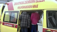 Exkurze na záchranářskou stanici