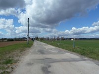 Ostrováci opět sází stromy tentokrát v ulici Slovenská