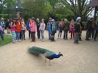 Škola v přírodě 2.B