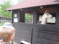 Škola v přírodě 2.B