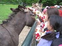 Škola v přírodě 2.B