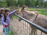 Škola v přírodě 2.B