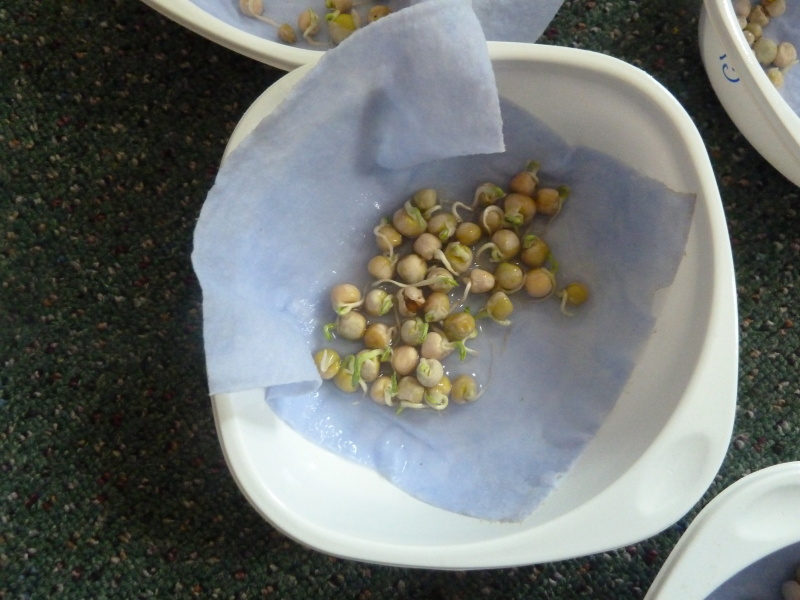 Březen v první třídě