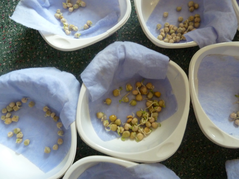 Březen v první třídě