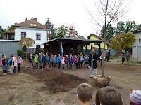 Školní družina Na Ostrově má svůj národní strom