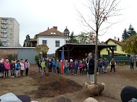 Školní družina Na Ostrově má svůj národní strom