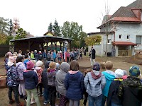 Školní družina Na Ostrově má svůj národní strom