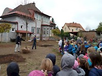 Školní družina Na Ostrově má svůj národní strom