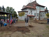 Školní družina Na Ostrově má svůj národní strom