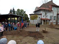 Školní družina Na Ostrově má svůj národní strom