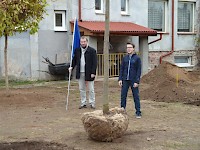 Školní družina Na Ostrově má svůj národní strom