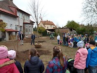 Školní družina Na Ostrově má svůj národní strom