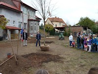 Školní družina Na Ostrově má svůj národní strom
