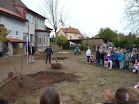 Školní družina Na Ostrově má svůj národní strom