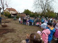 Školní družina Na Ostrově má svůj národní strom