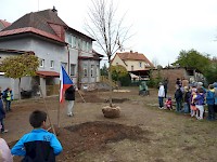 Školní družina Na Ostrově má svůj národní strom