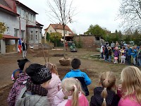 Školní družina Na Ostrově má svůj národní strom