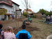 Školní družina Na Ostrově má svůj národní strom