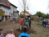 Školní družina Na Ostrově má svůj národní strom