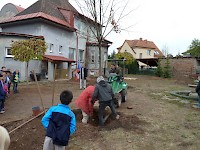 Školní družina Na Ostrově má svůj národní strom