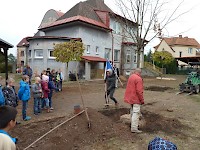 Školní družina Na Ostrově má svůj národní strom