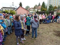 Školní družina Na Ostrově má svůj národní strom
