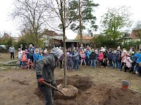 Školní družina Na Ostrově má svůj národní strom