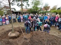 Školní družina Na Ostrově má svůj národní strom