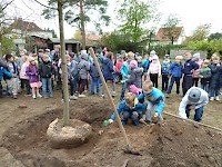 Školní družina Na Ostrově má svůj národní strom