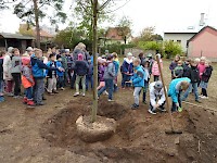Školní družina Na Ostrově má svůj národní strom