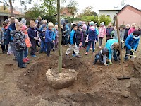 Školní družina Na Ostrově má svůj národní strom