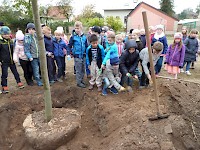 Školní družina Na Ostrově má svůj národní strom