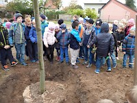 Školní družina Na Ostrově má svůj národní strom