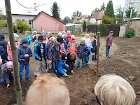 Školní družina Na Ostrově má svůj národní strom