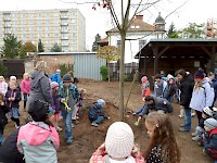 Školní družina Na Ostrově má svůj národní strom