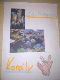 Zachraňme korály!! 6.A a 6.B
