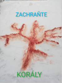 Zachraňme korály!! 6.A a 6.B