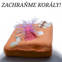 Zachraňme korály!! 6.A a 6.B