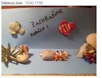 Zachraňme korály!! 6.A a 6.B