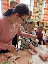 Ošetřujeme tepenné krvácení!